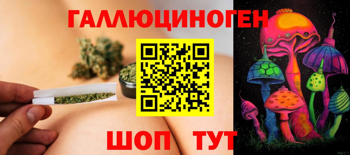 Феодосия  Псилоцибиновые грибы Psilocybe  Вход с VPN  Псилоцибиновые грибы MAGIC MUSHROOMS 