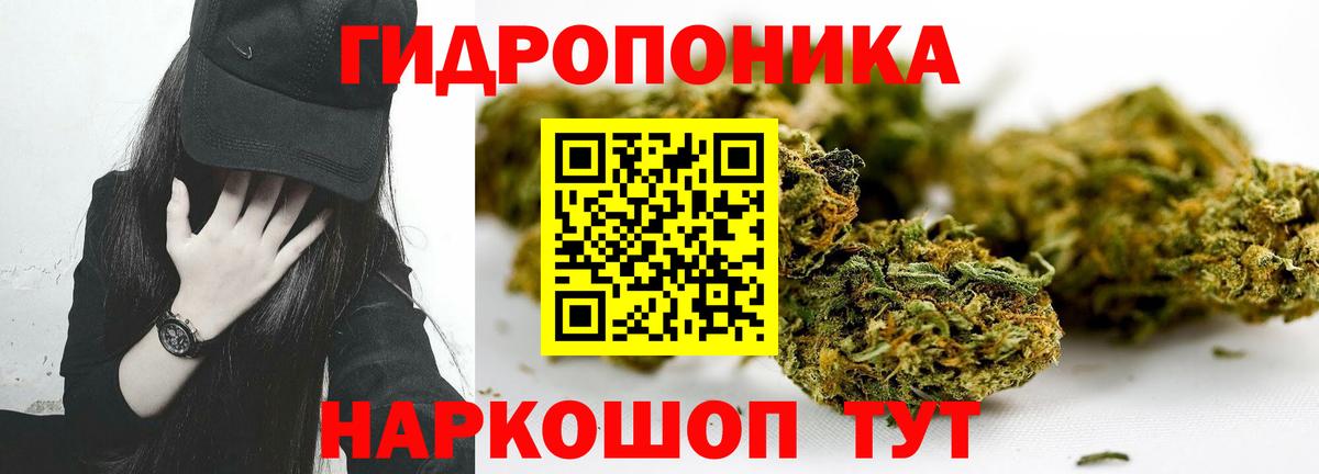 Бошки марихуана сатива Феодосия